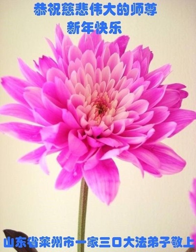 Image for article Praktisi Falun Dafa dari Tiongkok dengan Hormat Mengucapkan Selamat Tahun Baru Imlek kepada Guru Li Hongzhi (36 Ucapan)
