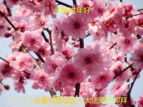Image for article Praktisi Falun Dafa dari Kota Changchun dengan Hormat Mengucapkan Selamat Tahun Baru Imlek kepada Guru Li Hongzhi (24 Ucapan)
