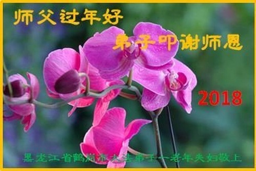 Image for article Praktisi Falun Dafa dari Provinsi Heilongjiang dengan Hormat Mengucapkan Selamat Tahun Baru Imlek kepada Guru Li Hongzhi (19 Ucapan)