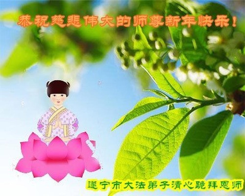 Image for article Praktisi Falun Dafa dari Provinsi Sichuan dengan Hormat Mengucapkan Selamat Tahun Baru Imlek kepada Guru Li Hongzhi (22 Ucapan)