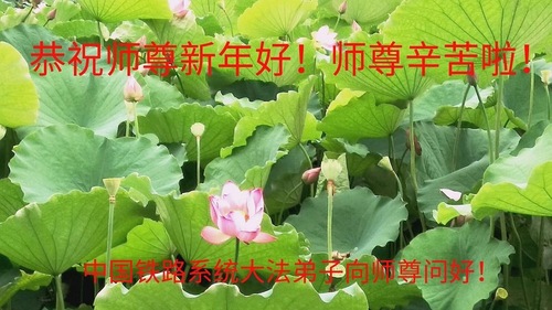 Image for article Praktisi Falun Dafa dari Tiongkok dengan Hormat Mengucapkan Selamat Tahun Baru Imlek kepada Guru Li Hongzhi (41 Ucapan)