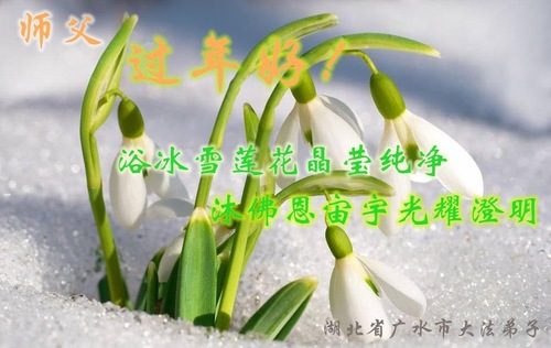 Image for article Praktisi Falun Dafa dari Provinsi Hubei dengan Hormat Mengucapkan Selamat Tahun Baru Imlek kepada Guru Li Hongzhi (20 Ucapan)