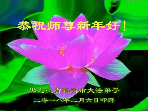 Image for article Praktisi Falun Dafa dari Provinsi Heilongjiang dengan Hormat Mengucapkan Selamat Tahun Baru Imlek kepada Guru Li Hongzhi (21 Ucapan)
