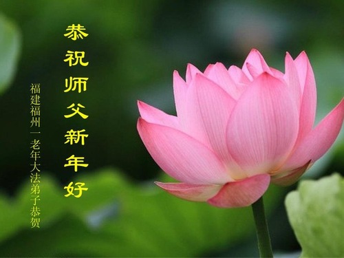 Image for article Praktisi Falun Dafa dari Provinsi Fujian dengan Hormat Mengucapkan Selamat Tahun Baru Imlek kepada Guru Li Hongzhi (19 Ucapan)
