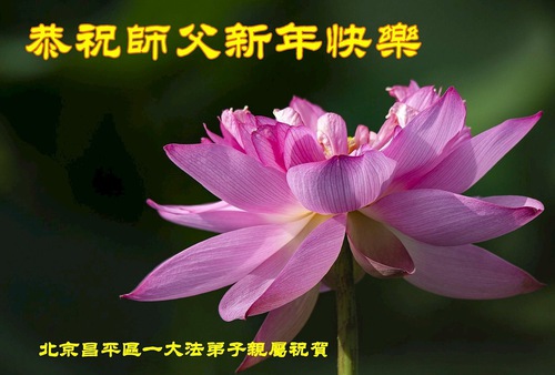 Image for article Falun Dafa Practitioners from Beijing Respectfully Wish Master Li Hongzhi a Happy New Year (24 Greetings)
