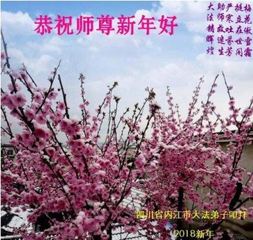 Image for article Praktisi Falun Dafa dari Provinsi Sichuan dengan Hormat Mengucapkan Selamat Tahun Baru Imlek kepada Guru Li Hongzhi (21 Ucapan)