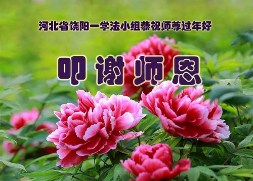 Image for article Praktisi Falun Dafa dari Provinsi Hebei dengan Hormat Mengucapkan Selamat Tahun Baru Imlek kepada Guru Li Hongzhi (26 Ucapan)