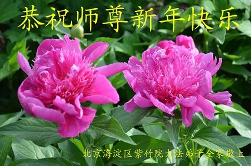 Image for article Praktisi Falun Dafa dari Beijing dengan Hormat Mengucapkan Selamat Tahun Baru Imlek kepada Guru Li Hongzhi (27 Ucapan)