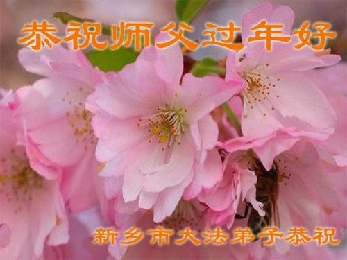 Image for article Praktisi Falun Dafa dari Provinsi Henan dengan Hormat Mengucapkan Selamat Tahun Baru Imlek kepada Guru Li Hongzhi (21 Ucapan)