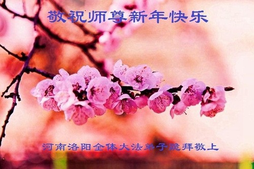 Image for article Praktisi Falun Dafa dari Provinsi Henan dengan Hormat Mengucapkan Selamat Tahun Baru Imlek kepada Guru Li Hongzhi (17 Ucapan)