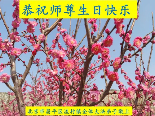 Image for article Falun Dafa Practitioners from Beijing Celebrate World Falun Dafa Day and Respectfully Wish Master Li Hongzhi a Happy Birthday (19 Greetings)