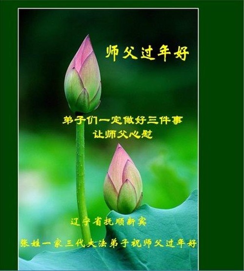 Image for article Praktisi Falun Dafa dari Provinsi Liaoning dengan Hormat Mengucapkan Selamat Tahun Baru Imlek kepada Guru Li Hongzhi (20 Ucapan)