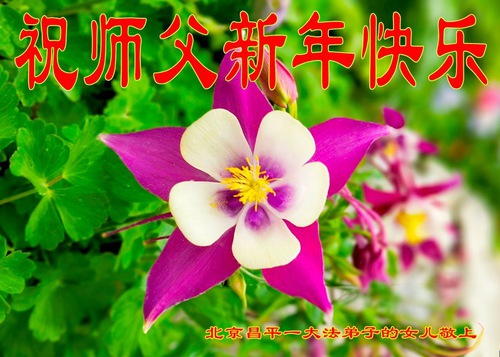 Image for article Falun Dafa Practitioners from Beijing Respectfully Wish Master Li Hongzhi a Happy Chinese New Year (18 Greetings)