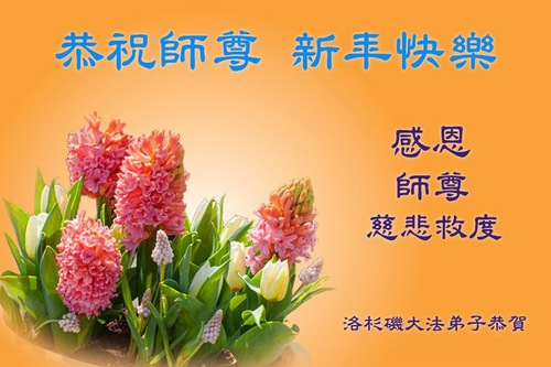 Image for article Falun Dafa Practitioners from the Southern and Western United States Respectfully Wish Master Li Hongzhi a Happy New Year
