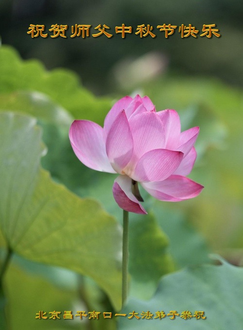 Image for article Falun Dafa Practitioners from Beijing Respectfully Wish Master Li Hongzhi a Happy Mid-Autumn Festival (20 Greetings)