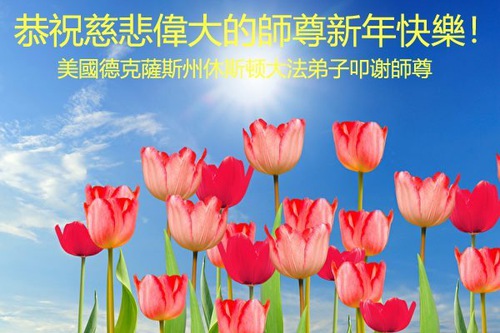 Image for article Falun Dafa Practitioners in the the Southern United States Respectfully Wish Master a Happy New Year