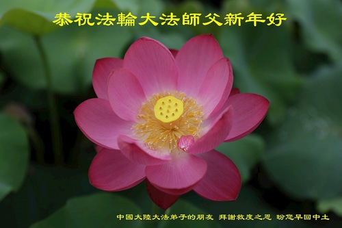 Image for article New Year’s Greetings to Master Li Hongzhi from People in China Who Understand the Truth