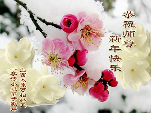 Image for article Praktisi Falun Dafa dari Provinsi Shanxi dengan Hormat Mengucapkan Selamat Tahun Baru Imlek kepada Guru Li Hongzhi (18 Ucapan)