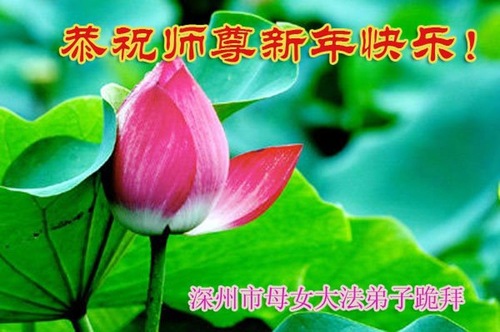 Image for article Praktisi Falun Dafa dari Provinsi Hebei dengan Hormat Mengucapkan Selamat Tahun Baru Imlek kepada Guru Li Hongzhi (21 Ucapan)