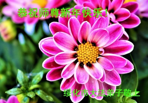 Image for article Praktisi Falun Dafa dari Provinsi Heilongjiang dengan Hormat Mengucapkan Selamat Tahun Baru Imlek kepada Guru Li Hongzhi (18 Ucapan)