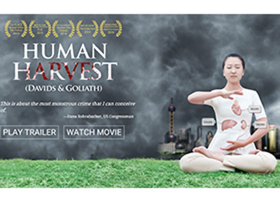 Image for article German TV Network Airs “Human Harvest” Documentary