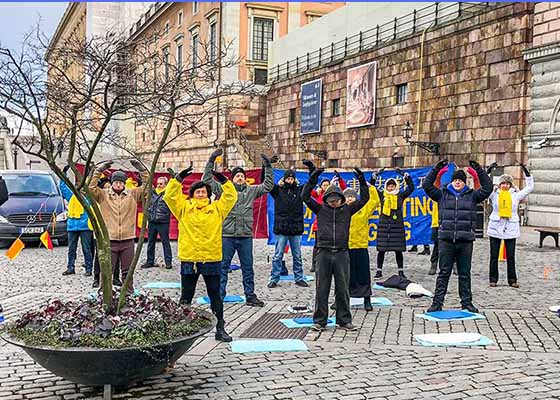 Image for article Stockholm, Sweden: “Falun Dafa Brings Me Warmth and Energy”