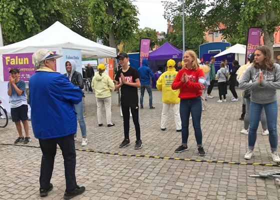 Image for article Sweden: Visitors Encounter Falun Gong at Annual Politician's Week