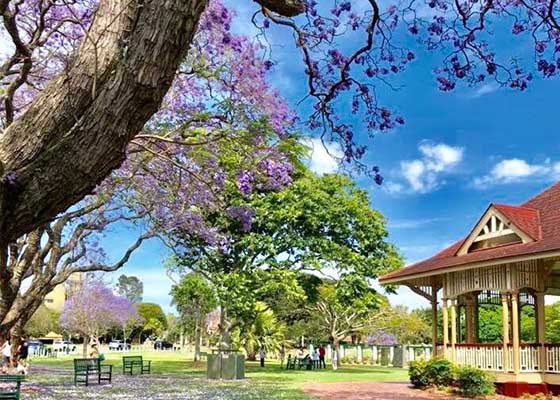 Image for article Brisbane: Passerby Feels Strong Energy Radiating from Falun Gong Practitioners