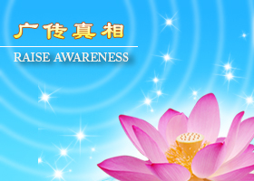 Image for article German Falun Dafa Practitioners Express Their Gratitude to Master Li Online and Share Their Cultivation Experiences