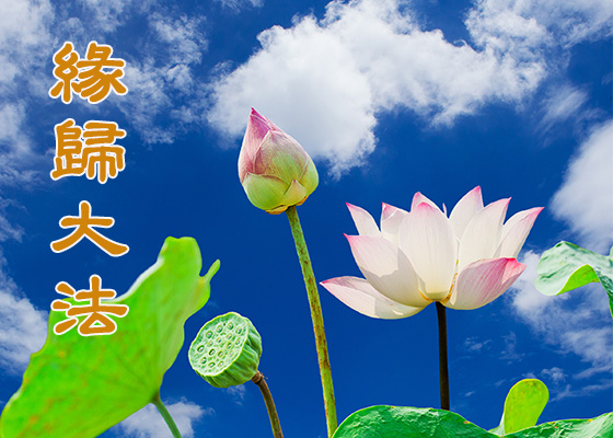 Image for article [Celebrating World Falun Dafa Day] My 88-Year-Old Father Tirelessly Raises Awareness about Falun Dafa