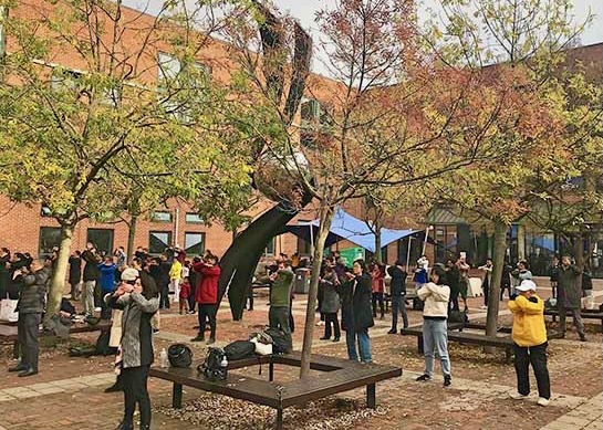 Image for article United Kingdom: University Students Experience the Beauty of Falun Dafa