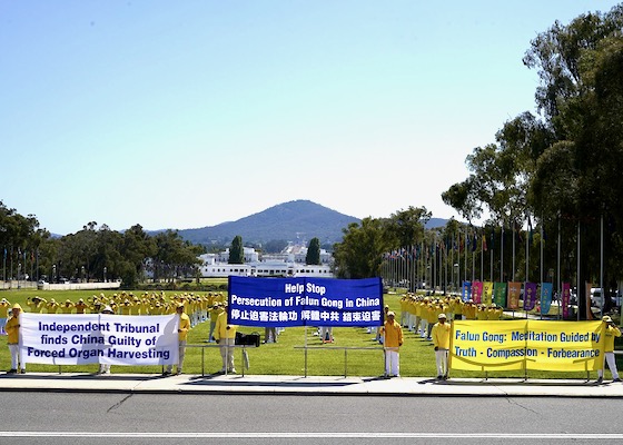 Image for article Canberra, Australia: Falun Dafa Practitioners Rally to Call for Legislators to Help End the Chinese Communist Party’s Forced Organ Harvesting