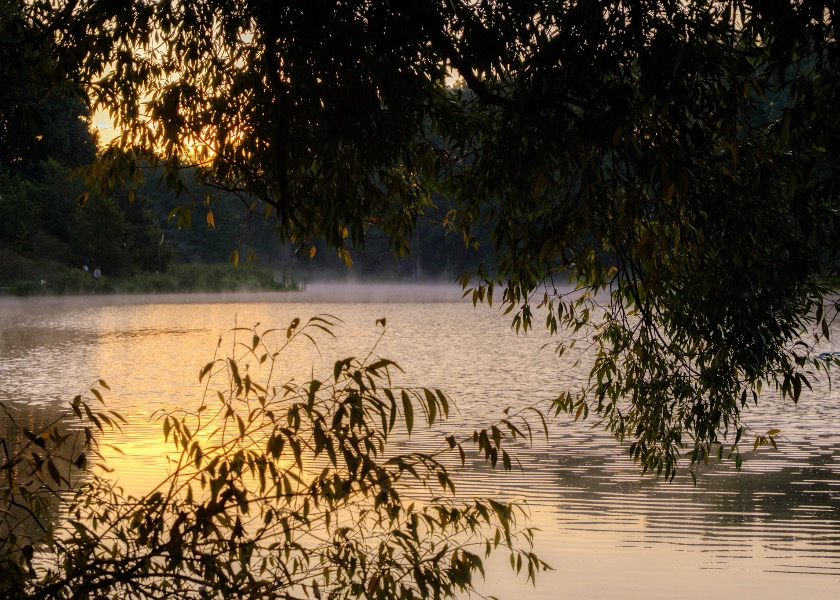 Image for article Inspiring Stories of People Blessed By Falun Dafa