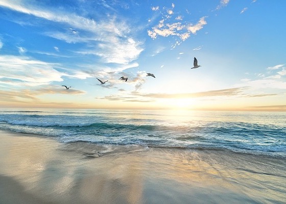 Image for article I Experienced the Wonders of Falun Dafa