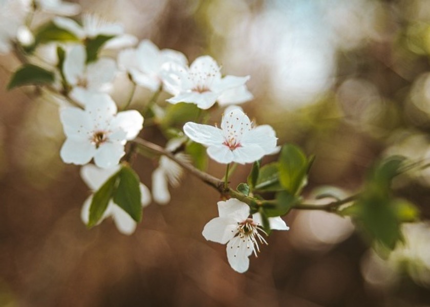 Image for article Amazing Benefits Of Dafa Witnessed By My Family