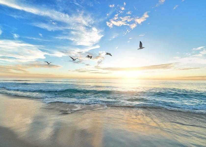 Image for article Canada: Positive Changes After Practicing Falun Dafa