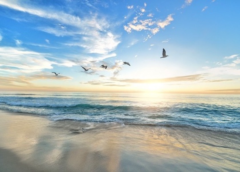 Image for article New Practitioner: Falun Dafa Resolved My Hatred