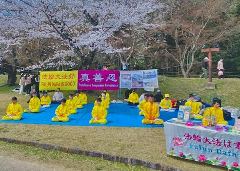 Image for article Toyota City, Japan: Introducing Falun Dafa at the Sakura Cherry Blossom Festival
