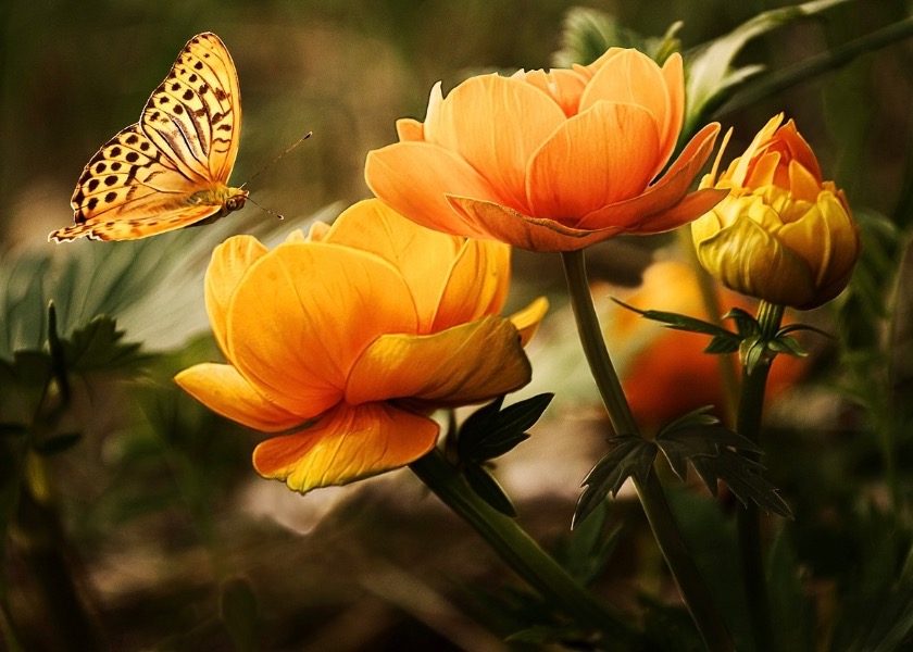 Image for article My Positive Changes After I Began Practicing Falun Dafa