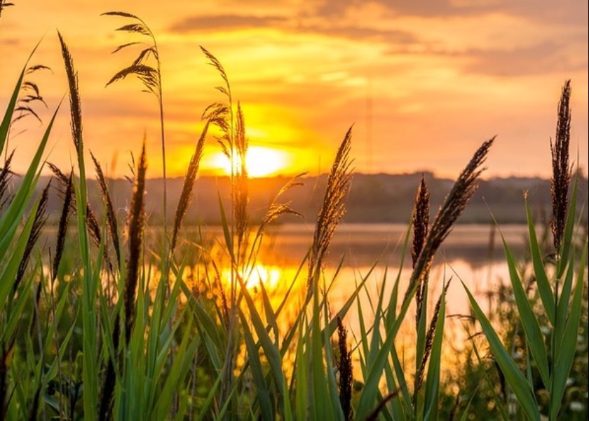 Image for article A Few Insights Regarding Looking Within and Reciting the Fa