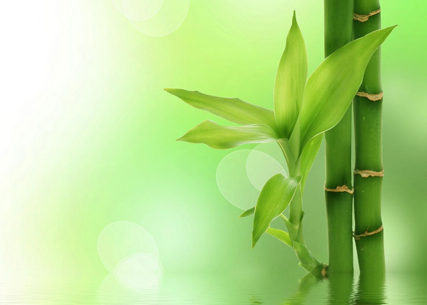 Image for article Lesson Unlearned from the Cultural Revolution: “Let Our Fate Be a Warning to You”