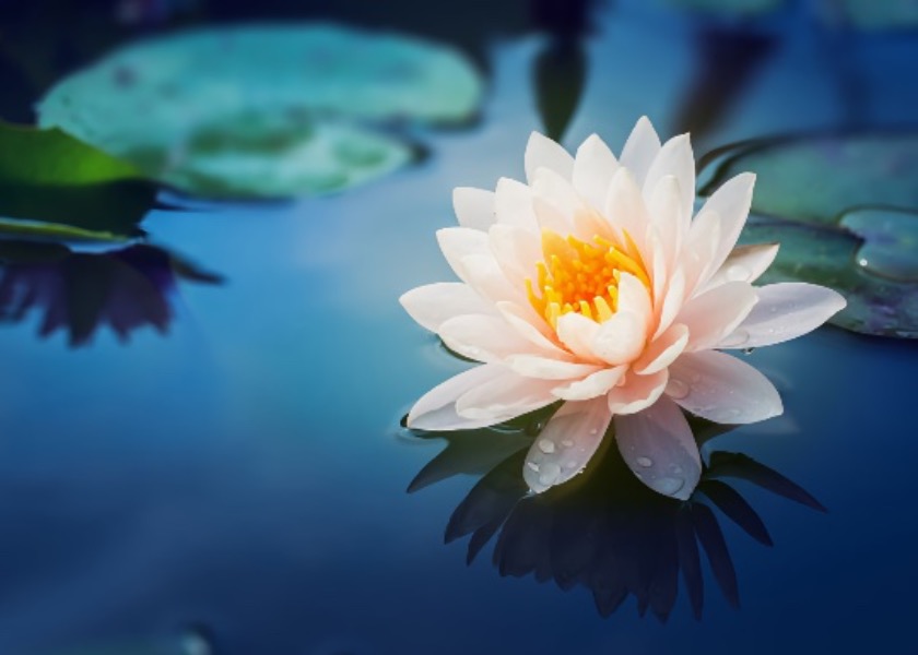 Image for article Divine Power Comes with Righteous Thoughts – A Few Miraculous Incidents in Cultivation