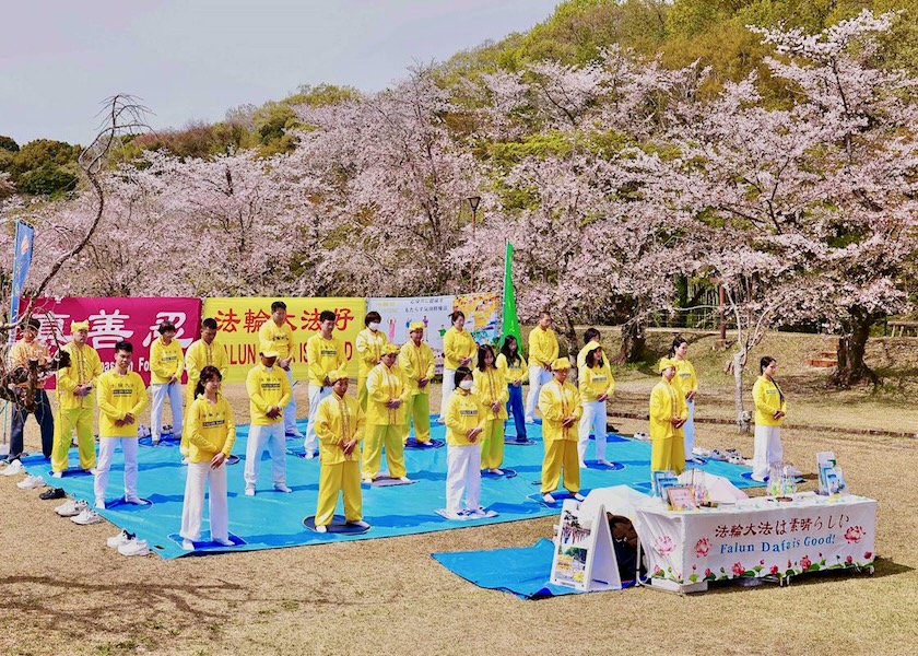 Image for article Toyota City, Japan: Introducing Falun Dafa During the Cherry Blossom Festival